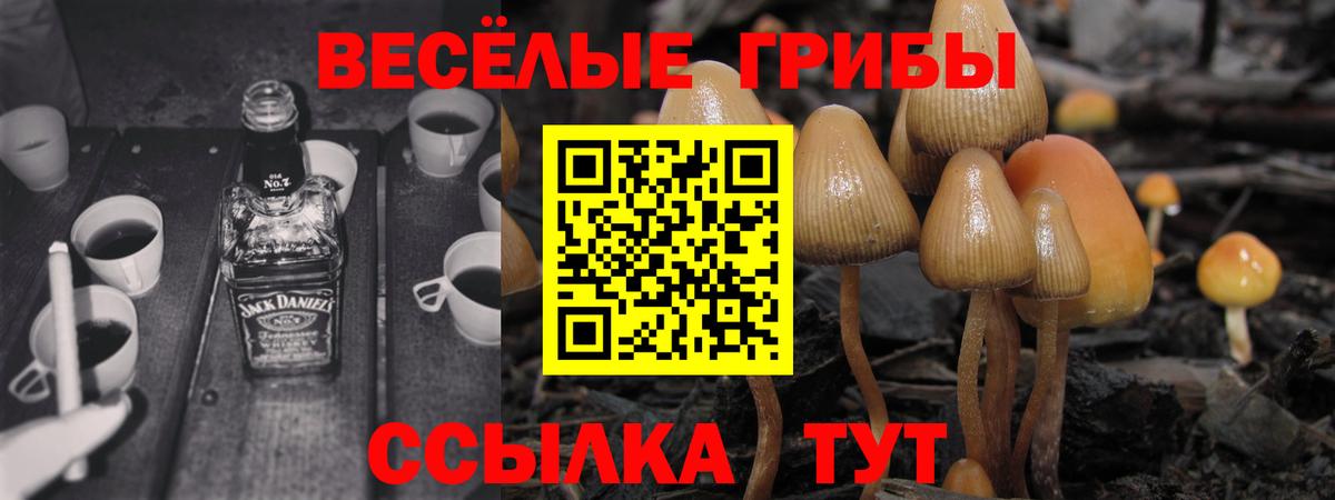 Псилоцибиновые грибы прущие грибы Батайск