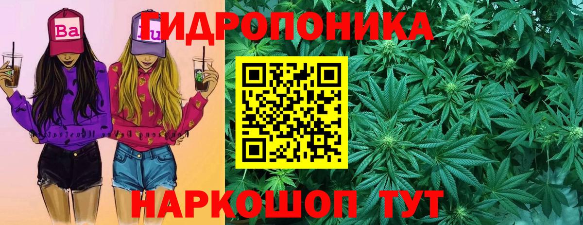 Конопля White Widow  Шишки марихуана LSD WEED  Конопля White Widow  Бошки марихуана планчик  Вход с VPN  Батайск 